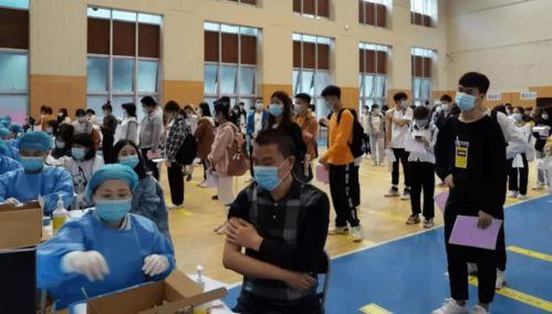 嘉明实机爆料最新消息,揭秘手机行业新动态  第3张